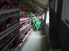 Van de het Voerverwerking van het gevogeltelandbouwbedrijf het Systeem 220v, Aangepaste het Karretjeiris van het Gevogeltevoer