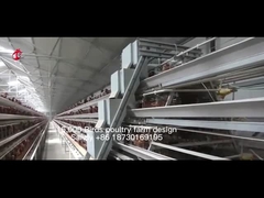 Een de Kooimateriaal van de Type Volledig Automatisch Kip voor 20.000 Zandige het Landbouwbedrijf van het Capaciteitsgevogelte