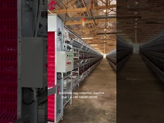 Sleutel tot slot project Automatisch pluimvee batterij kooi systeem 3 niveaus 450cm2 Ster