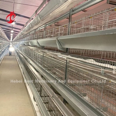 Hot Dip gegalvaniseerd pluimvee kooi systeem Witte laag boerderij vogelhuis Adela