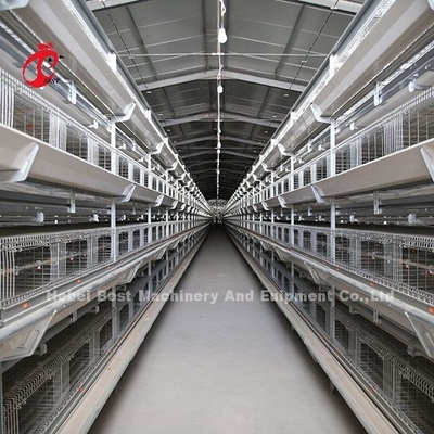Beste gegalvaniseerde 3 niveaus 96 vogels laag batterij kooi systeem in Kenia Farm Mia