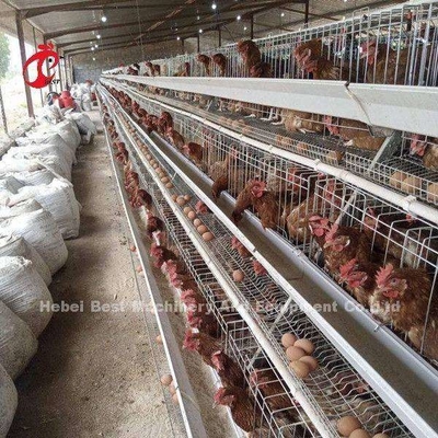 Kip A en Automatisch de Batterijkooisysteem van H voor Zandige Pluimveehouderij het Fokken