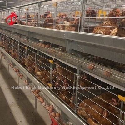 De automatische Inzameling van het Laagei een Kooi van de Typekip voor Gevogeltelandbouwbedrijf nam toe