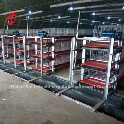 Automatische 4 niveaus type H Broiler kippenkooi voor vlees kippenboerderij Ada