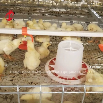 Een type broiler kippenkooi en boerderij pluimveehuis Gebouwontwerp Mia