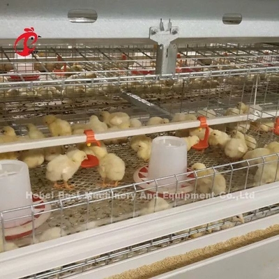 96 Vogels een Type - 1 - 12 Weken Chick Brooder Cage In Chicken-Landbouwbedrijfdoris