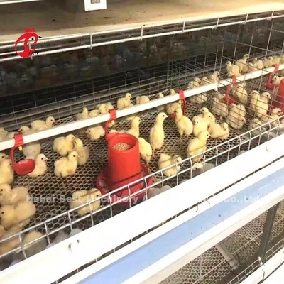 96 Vogels een Type - 1 - 12 Weken Chick Brooder Cage In Chicken-Landbouwbedrijfdoris