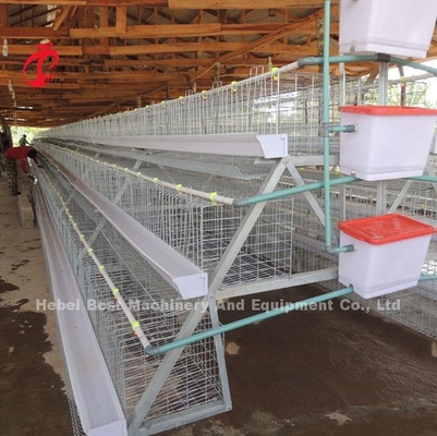120 vogels 200 vogels capaciteit pluimvee batterij kooi systeem voor lagen broilers kuikens ster