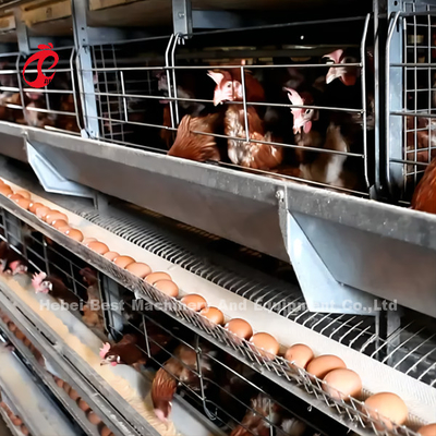 Het automatische Hdg-Batterijsysteem van Pluimveehouderij met Uitsteekseldrinker nam toe