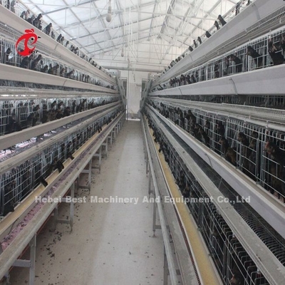 2.8mm-3.5mm kooi draad diameter pluimveehouderij kooi systeem voor een hoge opvoeding efficiëntie Adela