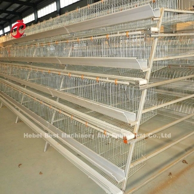 2.8mm-3.5mm kooi draad diameter pluimveehouderij kooi systeem voor een hoge opvoeding efficiëntie Adela