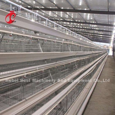 Roestvrij staaldraad batterij kooi voor kip 432cm2 gebied vogel Adela