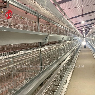 Roestvrij staaldraad batterij kooi voor kip 432cm2 gebied vogel Adela