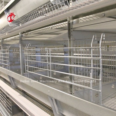 2.2m laag batterij kooi systeem voor 120-200 kippen Adela
