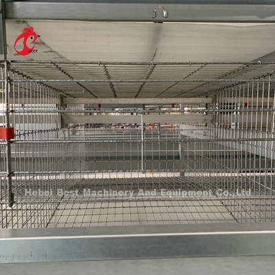 4 Tiers kippenkooi Volledig automatische apparatuur Oplossingen op maat Adela