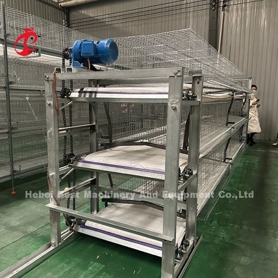 Hot Dip gegalvaniseerd pluimvee kooi systeem Witte laag boerderij vogelhuis Adela