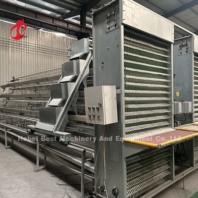 Automatische kippenkooi van het type A of H. Voedingsapparatuur Hopper-eiersysteem voor 35.000 vogels