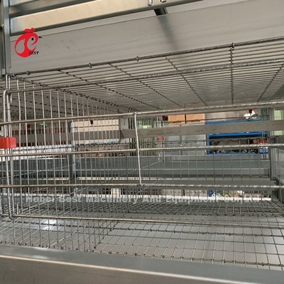 20 van de de Pluimveehouderij van het Automatische Kip van de Levensduurlaag de Kooijaar Materiaal voor 20.000 Lagen van Adela