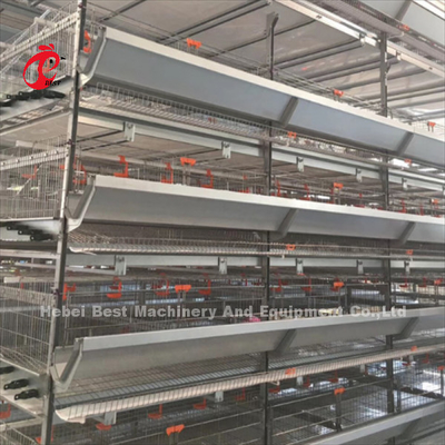20 van de de Pluimveehouderij van het Automatische Kip van de Levensduurlaag de Kooijaar Materiaal voor 20.000 Lagen van Adela