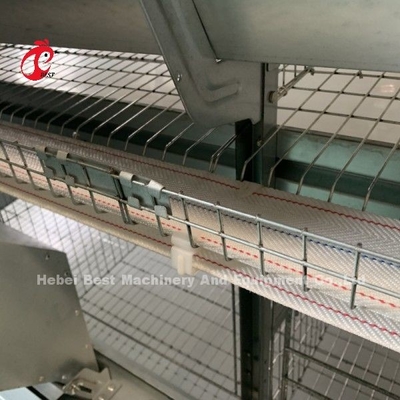 Automatische kippenkooi uitrusting van H frame 4 tier foklaag kooi voor 50.000 boerderij Doris Shi