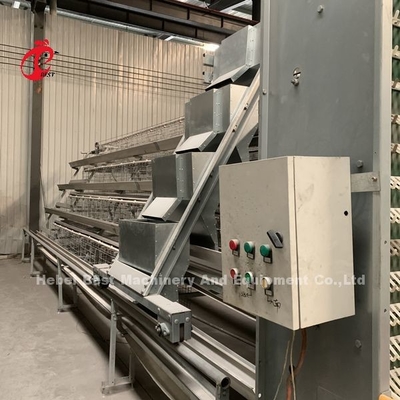 Fabrieksprijs op het Professionele volledig Automatische Materiaal van de Kippenkooi voor de Iris van het Kippenhuis