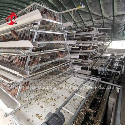 Automatisch die Mestschraper en Riemtype voor Zandig Kippenlandbouwbedrijf wordt ontworpen