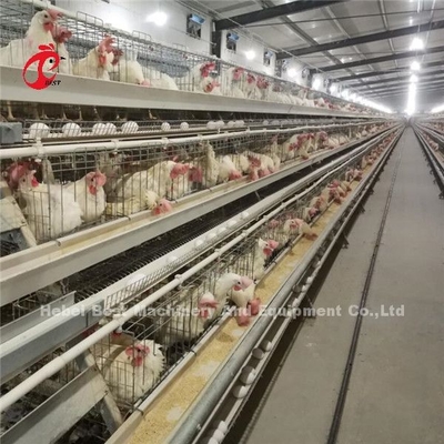 Automatische elektrische besturing van het pluimveelaagkooien systeem 4 Tier Farm Design Ada
