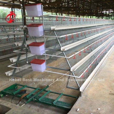 Volledig van de de Mestverwijdering van de Reeks Automatisch Schraper het MateriaalKoolstofstaal voor de Ster van het Kippenhuis
