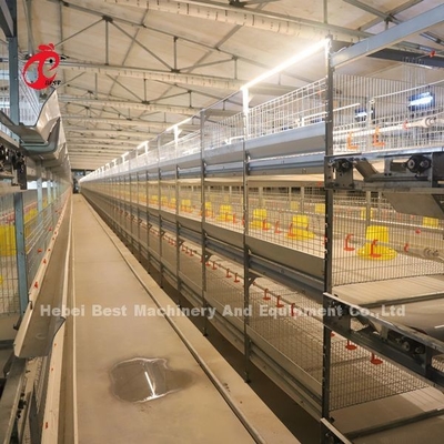 Praktische 380V kippen broeder kooi voor dag oude laag groeipuien in Afrika boerderij iris