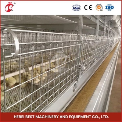 Lang Kooi Automatisch H Type van het Levensduur Modern Gevogelte Dag Oud Chick Pullet Cage High Capacity Adela