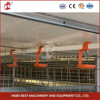 Lang Kooi Automatisch H Type van het Levensduur Modern Gevogelte Dag Oud Chick Pullet Cage High Capacity Adela