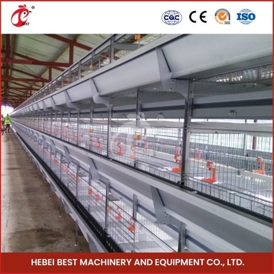 Dag Oude Laag Chick Brooding Cage Equipment 208 Vogels Hogere Overleving Rate Ada