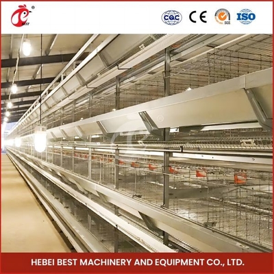 Hete Gegalvaniseerde Automatische Jonge kipbaby Chick Brooder Cage 192 Vogels 1.2m Lengte Mia