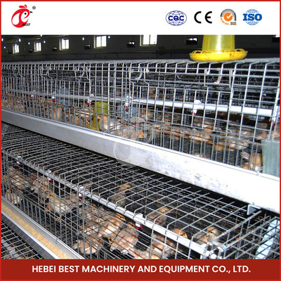 Van de Jonge kipchick brooder cage for day van het gevogeltelandbouwbedrijf Automatische Oude de Laagkip Ada