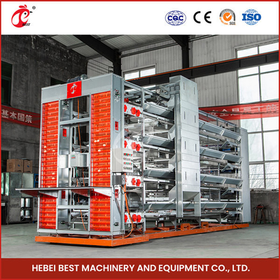 Automatisch systeem pluimvee kip batterij kooi H frame Emily