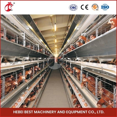 H Type 30000 Kooi van de de Laagkip van het Vogels de Automatische Ei met MestTransportband Ada