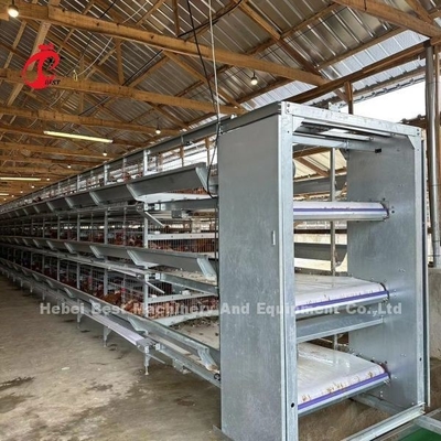 Automatische Laag 160 de Batterijkooi van de Vogelskip voor Gevogeltelandbouwbedrijf Emily