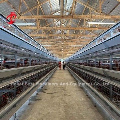 Automatische Laag 160 de Batterijkooi van de Vogelskip voor Gevogeltelandbouwbedrijf Emily