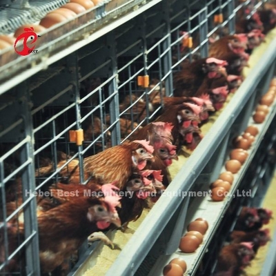 200 Vogels Automatische Kip Batterij Kooi Te koop Eierlaag Kooi Boerderij Ada