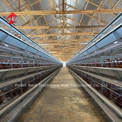 120 het GevogelteBatterijkooien Automatisch de Laaglandbouwbedrijf Doris van A of h-van de Vogelscapaciteit