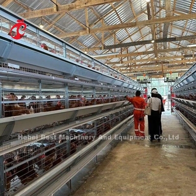 3/4/5/6/7/8 Tiers Vleeslaag Kooi System met Automatische Feeder Adela