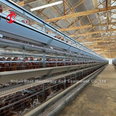 120-200 kippen capaciteit laag batterij kooi systeem voor 500 tot 50000 kippenboerderij Doris