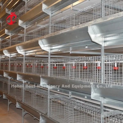 450cm2 H-type automatisch kipbatterij kooi systeem met voeder Adela