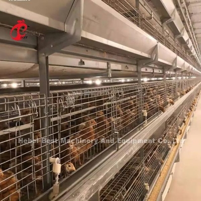 Q235 Steel Stronger Wire Broiler Cage 1,5m x 2,2m x 1,75m Adela