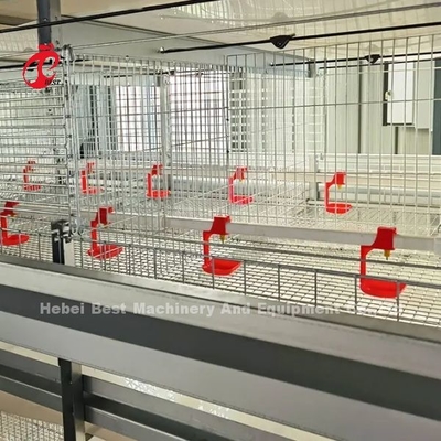 Q235 Steel Stronger Wire Broiler Cage 1,5m x 2,2m x 1,75m Adela