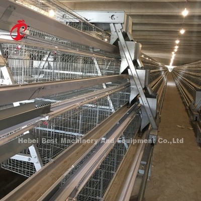 3/4/5 Tiers Battery Cage System voor geautomatiseerde laag kippen pluimveehouderij Iris
