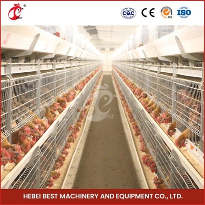 Warm gegalvaniseerde broiler transport kooi zilveren kleur duurzaam betrouwbaar Mia