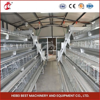 96 Vogels H-type automatische kippenkooi / een type broiler kippenkooi met schuifdeur roos