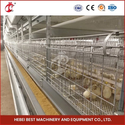 Verzameling Broeding Quail Broeder Cage met automatische handmatige reiniging Emily