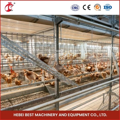 Verzameling Broeding Quail Broeder Cage met automatische handmatige reiniging Emily